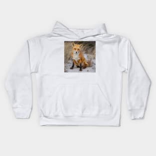 Red Fox Sitting Kids Hoodie